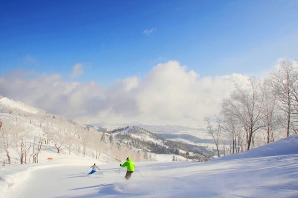 Furano được mệnh danh là nơi có tuyết mịn nhất Nhật Bản