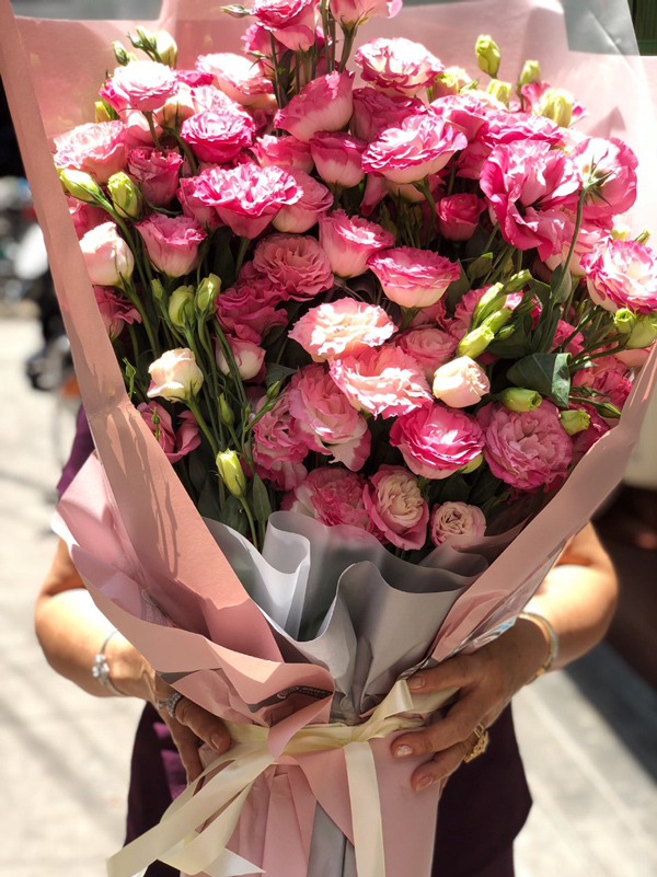 Nếu muốn tỏ lòng biết ơn đến thầy cô bạn nên tặng hoa cẩm chướng