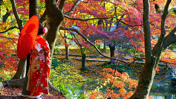 Ngắm lá mùa thu là trải nghiệm bạn nhất định phải thử khi học ở Nhật