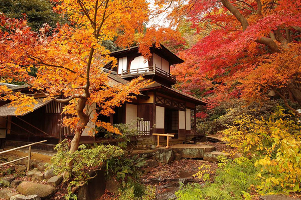 Vườn Sankeien mang nét đẹp đậm phong cách Nhật Bản