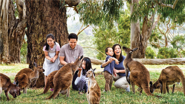 5 Đặc điểm nước Úc về văn hóa, con người và thiên nhiên | WikiAbroad